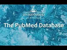 Video thumbnail for The PubMed Database