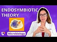 Video thumbnail for Endosymbiotic Theory - Microbiology for Health Fields, Pre Nursing/Med | @LevelUpRN