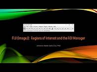 Video thumbnail for FIJI (ImageJ): Regions of Interest and the ROI Manager