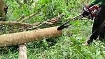 Video thumbnail for The Art of Turning Timber into Perfect Wooden Planks