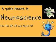 Video thumbnail for Neuroscience For Psychology