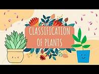 Video thumbnail for G6 Science Classification of Plants