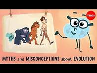 Video thumbnail for Myths and misconceptions about evolution - Alex Gendler