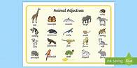 Video thumbnail for Animal Adjectives Word Mat