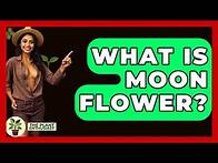 Video thumbnail for What Is Moon Flower? - The Plant Enthusiast