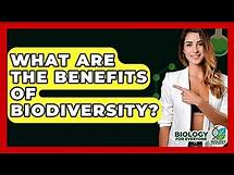 Video thumbnail for What Are The Benefits Of Biodiversity? - Biology For Everyone