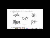 Video thumbnail for 2020 Oct-0893(1113)-p2-science checkpoint-lower secondary-grade8/stage9_full solution w/explanation