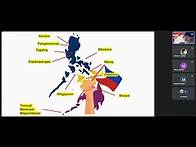 Video thumbnail for Kalagayan ng Wika sa Panahon ng Katutubo at Panahon ng Kastila: Isang Malayang Talakayan.