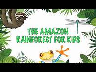 Video thumbnail for Facts about the Amazon Rainforest For kids