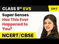 Video thumbnail for Class 5 EVS Chapter 1 | Super Senses - Has This Ever Happened to You? | Class 5 EVS NCERT