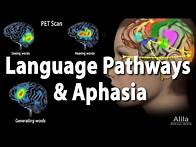 Video thumbnail for Language Pathways and Aphasia, Animation