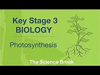 Video thumbnail for Key Stage 3 Science (Biology) - Photosynthesis