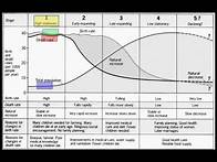 Video thumbnail for Unit 2 - Demographic Transition and Population Pyramids