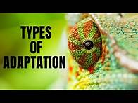 Video thumbnail for Types of Adaptation| Structural, Behavioral and Physiological Adaptation | Adaptations