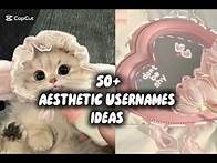 Video thumbnail for 50+ Aesthetic Usernames Ideas