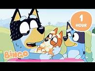 Video thumbnail for 🔴LIVE: Family Time with Bingo ✨ | Bluey Full Episodes | Bingo