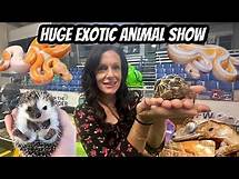 Video thumbnail for Discover Rare Endangered Species at Exotic Animal Expo!
