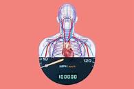 Video thumbnail for 125 Interesting Facts About Practically Everything