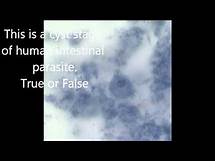 Video thumbnail for Microbiology Lab Practice Test