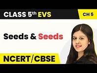 Video thumbnail for Class 5 EVS Chapter 5 | Seeds and Seeds | NCERT Class 5 EVS