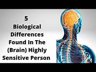 Video thumbnail for 5 Brain Differences Found In The Highly Sensitive Person (HSP) #highlysensitivepeople #HSP