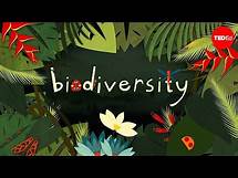 Video thumbnail for Why is biodiversity so important? - Kim Preshoff