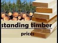 Video thumbnail for standing timber prices, timber prices per acre