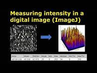 Video thumbnail for Measuring intensity in a digital image (ImageJ)