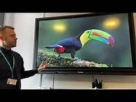 Video thumbnail for Structure of tropical rainforests/ animal and plant adaptations – OMG Revision – GCSE Geography 9-1.