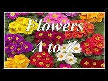Video thumbnail for A to Z Flowers Name - List of Flowers with Pictures - Kids Educational Videos