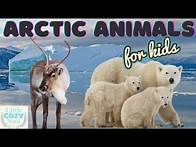 Video thumbnail for Arctic Animals For Kids- Educational READ ALOUD for Children