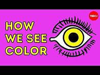 Video thumbnail for How we see color - Colm Kelleher