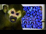 Video thumbnail for How Colours Are Connected With Our Emotions | Earth Science