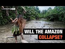 Video thumbnail for Amazon Deforestation: The Next Climate Tipping Point?