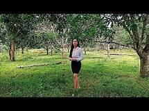 Video thumbnail for 📌 Paano ko mapapaunlad ang Wikang Filipino kaugnay ng Kultura at Lipunan? | Camille Kirong
