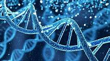 Video thumbnail for DNA and inheritance – WJEC - GCSE Biology (Single Science) - WJEC - Video - BBC Bitesize