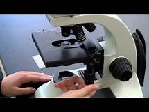 Video thumbnail for BIOLOGY 10 - Basic Microscope Setup and Use