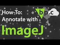 Video thumbnail for How-To: Annotate with ImageJ