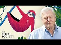Video thumbnail for Why is biodiversity important - with Sir David Attenborough | The Royal Society