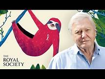 Video thumbnail for Why is biodiversity important - with Sir David Attenborough | The Royal Society