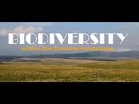 Video thumbnail for Forestry South Africa - Conserving biodiversity, we all have a role