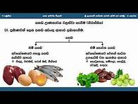 Video thumbnail for Grade 11 | Unit 9 | ශ්‍රී ලංකාවේ පෝෂණ ගැටළු - 2 කොටස | e-thaksalawa