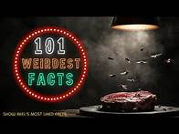 Video thumbnail for 101 Weird Fun Facts That Will Make You Question Everything! | Weird But True Facts | Amazing Facts