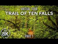 Video thumbnail for Virtual Hike 360° VR - Forest Walk along the Trail of Ten Falls - 8K Virtual Relaxation - Part 1