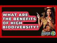 Video thumbnail for What Are The Benefits Of High Biodiversity? - Ecosystem Essentials