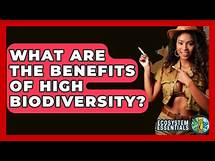 Video thumbnail for What Are The Benefits Of High Biodiversity? - Ecosystem Essentials