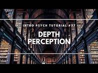 Video thumbnail for Depth Perception (Intro Psych Tutorial #57)