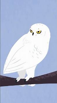 Video thumbnail for Use your Creature Powers to solve this I Spy!🦉 | PBS KIDS #Shorts