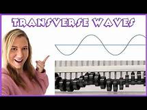 Video thumbnail for Transverse Waves and Labelling Wave Diagrams