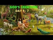 Video thumbnail for God's Creation | Day 1-7 | The Story of Creation |
